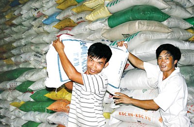 Workers stack rice for export at the Gao Viet Company (Photo: SGGP) Workers stack rice for export at the Gao Viet Company (Photo: SGGP)